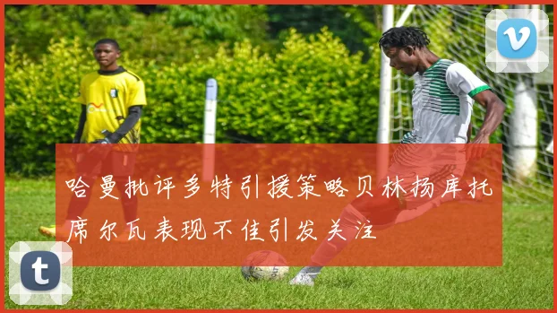 哈曼批评多特引援策略贝林扬库托席尔瓦表现不佳引发关注